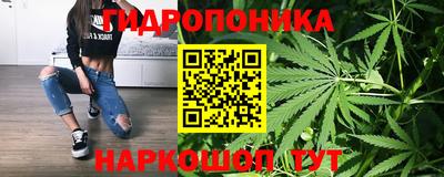 спайс Можга