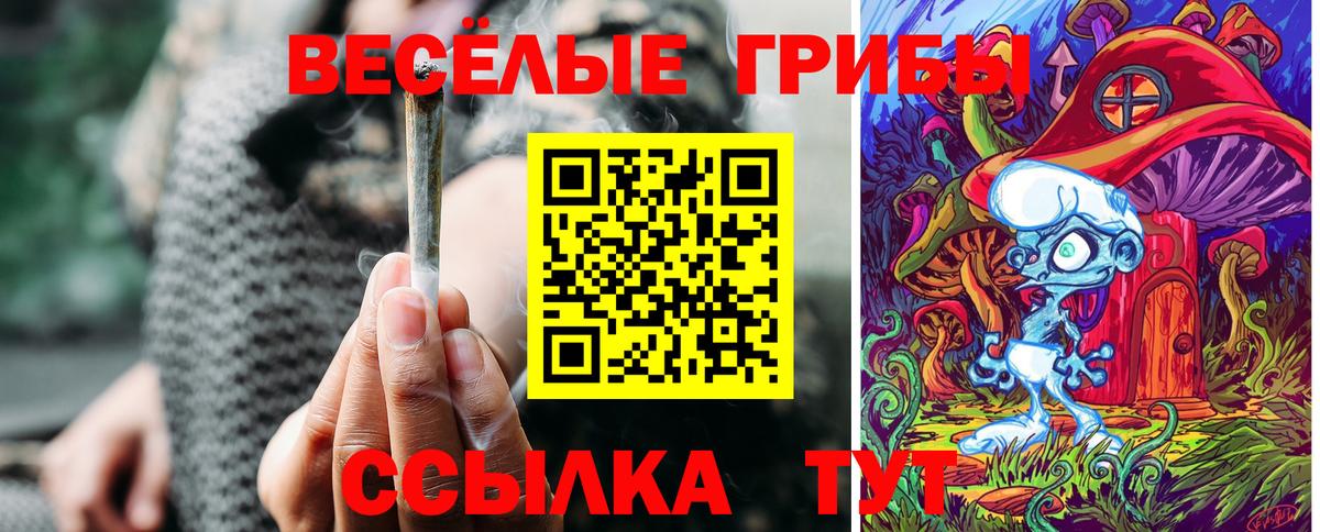 Борзя  Галлюциногенные грибы GOLDEN TEACHER  Вход с VPN 