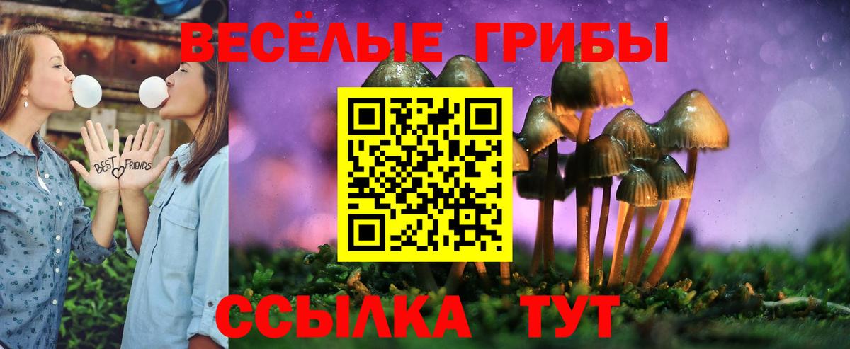 Галлюциногенные грибы Cubensis Борзя